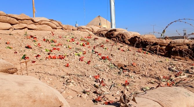 حضور دانش‌آموزان بندر لنگه در اروند رود؛ سفری برای لمس واقعی تاریخ