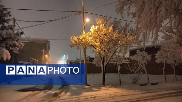 انعکاس دوباره ی رحمت اینبار بارنگ سپید