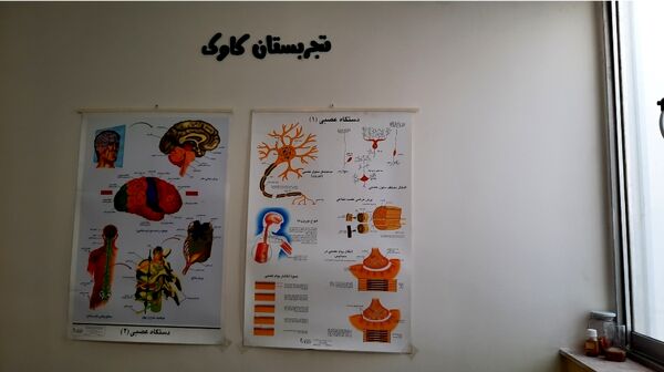 آموزش ماندگار در تجربستان کاوک ناحیه۷ مشهد 