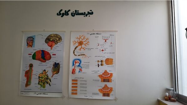 آموزش ماندگار در تجربستان کاوک ناحیه۷ مشهد 