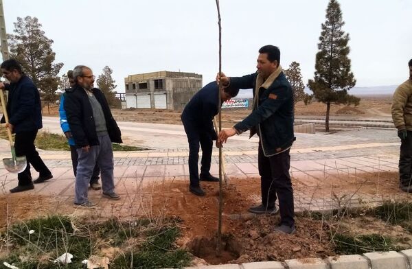 روز درختکاری در تربت جام