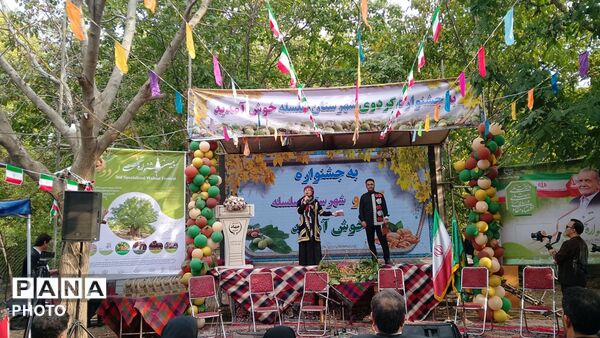 سلسله، میزبان جشنواره تخصصی گردو شد