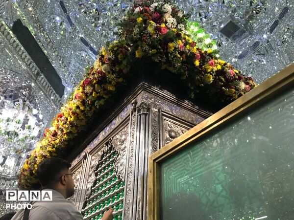 عطر میلاد در بارگاه سیدالکریم (ع)