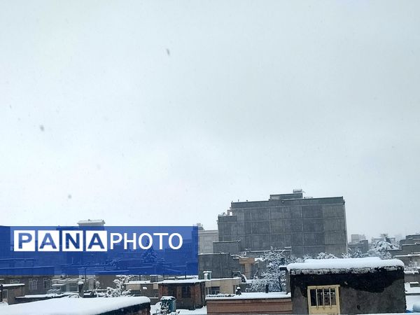 جلوه های زیبا از بارش برف در شهرستان نیشابور 