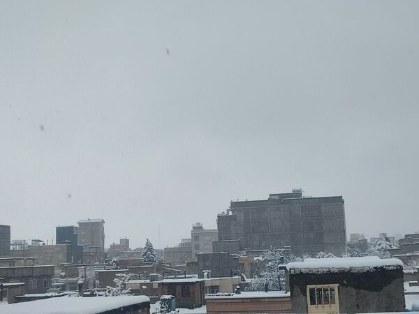 جلوه های زیبا از بارش برف در شهرستان نیشابور 