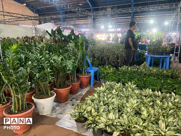 اولین نمایشگاه بهاره گل و گیاه و سوغاتی های محلی در شهرکرد