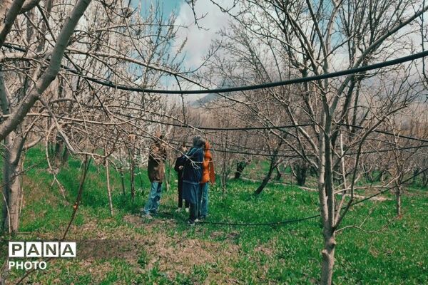 سیزده بدر روز طبیعت ۱۴۰۵در شهر بار نیشابور 