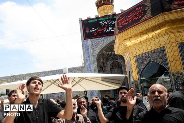 مشهدالرضا(ع) در ماتم کربلا؛ روایت اشک و ارادت در حرم مطهر رضوی