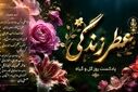 گیاهان، ساکت ترین و مهربان‌ترین هم‌اتاقی‌های دنیا هستند