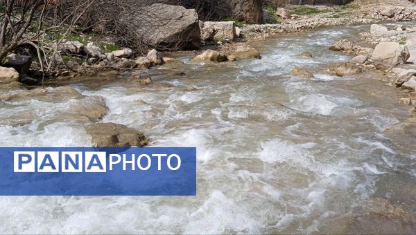 طبیعت روستای بارز، طبیعتی زیبا در دل استان چهارمحال‌وبختیاری 