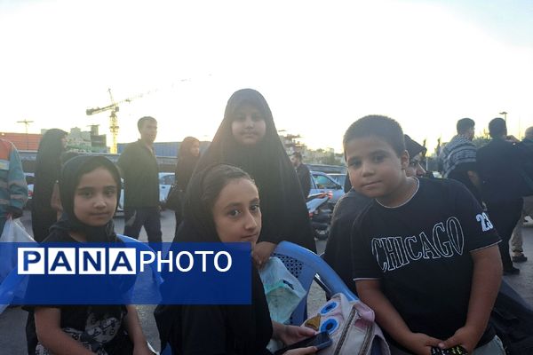 پیاده‌روی جاماندگان اربعین