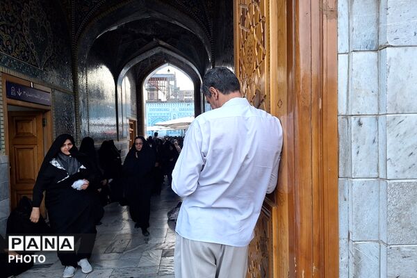 نجوای عاشقانه زائران در روز عرفه؛ مشهد الرضا غرق در زمزمه‌های بندگی
