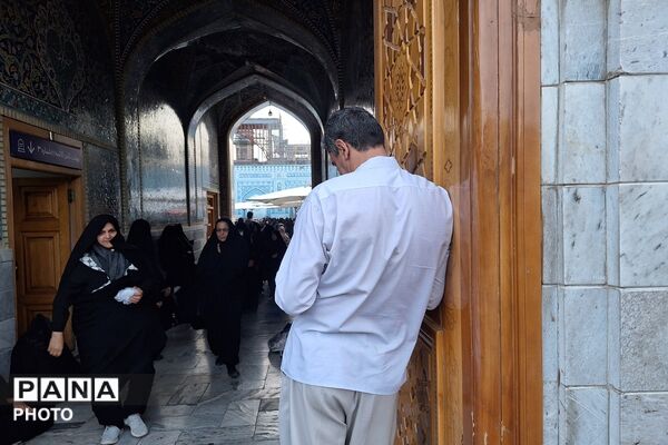 نجوای عاشقانه زائران در روز عرفه؛ مشهد الرضا غرق در زمزمه‌های بندگی
