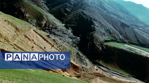 طبیعت بهاری، یک یادآوری دوست داشتنی