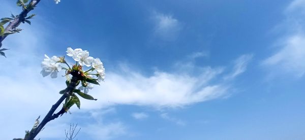 طبیعت بی نظیر روستا سربالا بهترین گزینه برای طبیعتگردی در فصل بهار