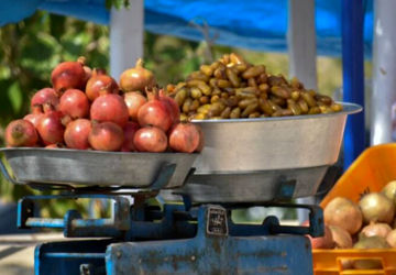 جشنواره‌ای با طعم انار و خرمای خفر 