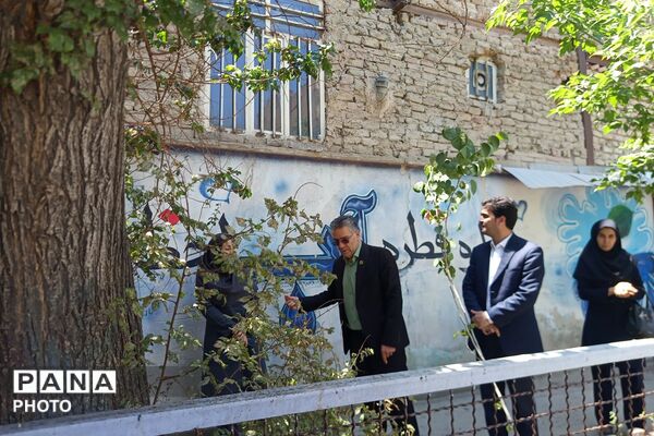 طرح محیط زیستی شهید مفقود الاثر ماکان نصیری در مدرسه رضوان ناحیه دو بهارستان