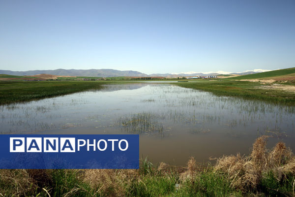 تور رسانه‌ای بازدید از تالاب‌های حوضه آبریز دریاچه ارومیه