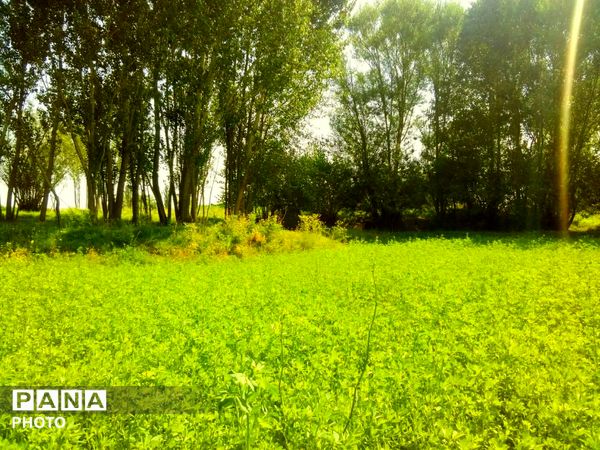 وانان؛ جایی که طبیعت خودش را آشکار می‌کند