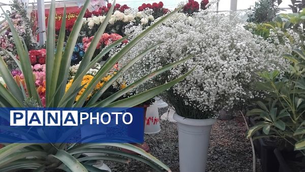 جشنواره گل‌و‌گیاه در محلات