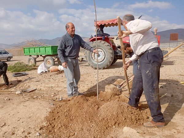 کاشت نهال در آرامستان روستای گزکوه