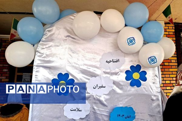 فعالیت سفیران سلامت در مدرسه خواهران بابایی