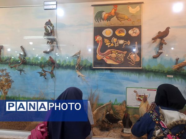 اردوی علمی ،تفریحی دانش آموزان مدرسه مهندس رحمانی فرد در پژوهش سرای علامه طباطبایی