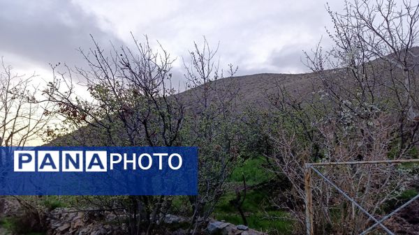 رویداد آیین باستانی سیزده بدر نیشابور در روز طبیعت از  قاب خبرنگاران پانا