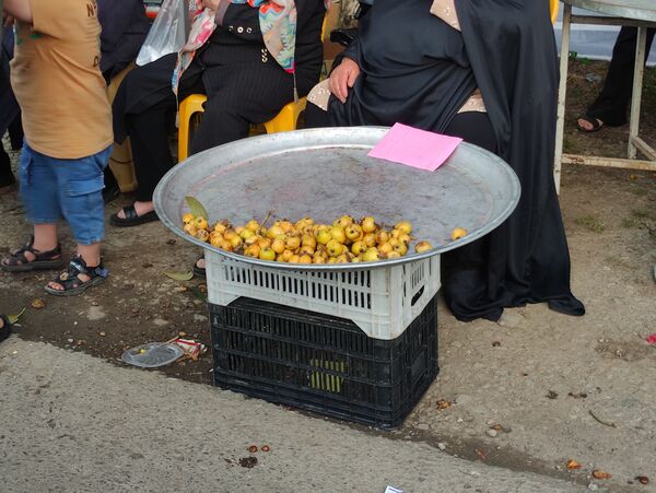 چهارمین جشنواره آلوچه در شهرستان صومعه‌سرا