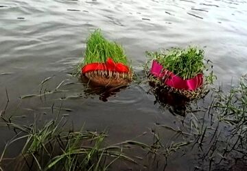 روایت کوتاه یک خانواده در روز طبیعت 