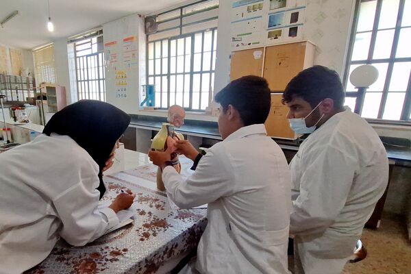 جشنواره خوارزمی فرصتی برای کشف استعدادهای دانش‌آموزان 