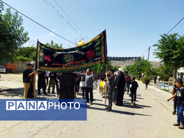 دوازدهمین سوگواره عاشورایی احلی من العسل