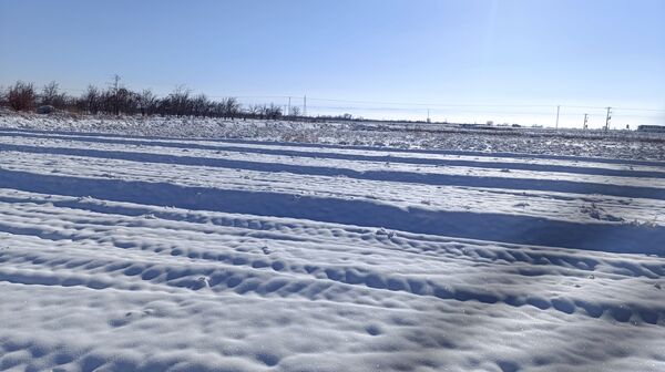 منظره زیبای برف پاییزی در باغات شهرستان نیشابور 