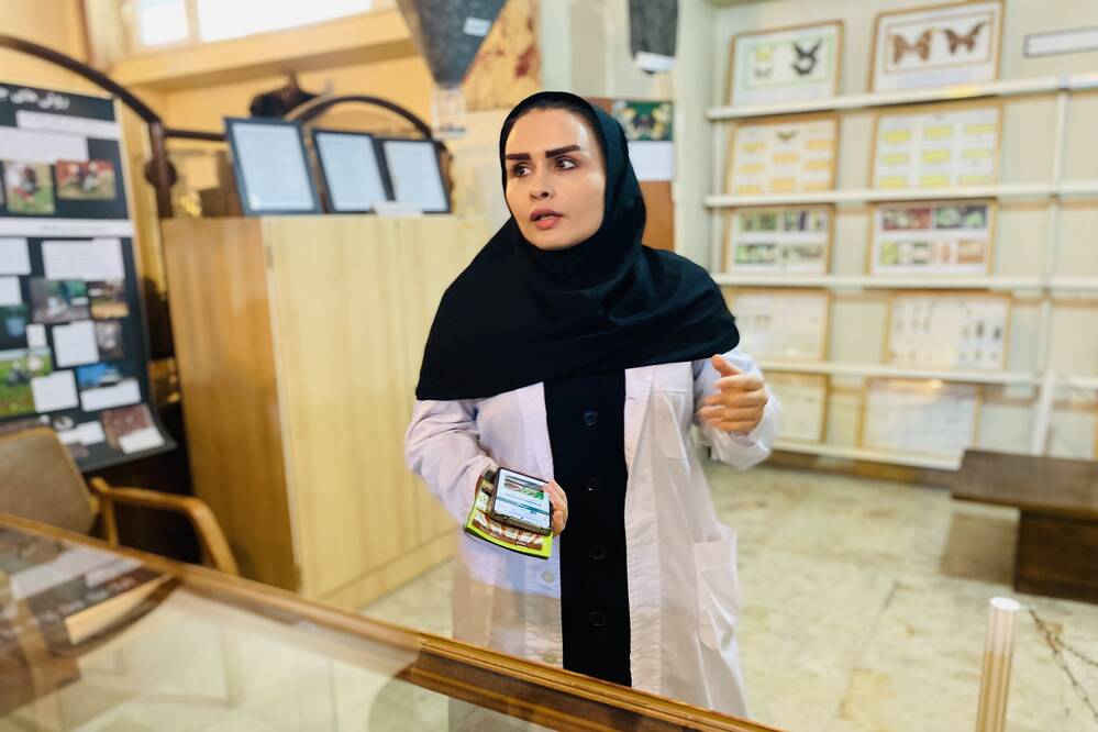 گالری