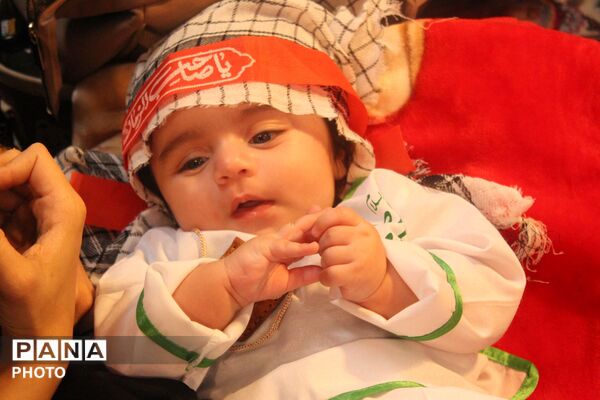 اجتماع شیرخوارگان حسینی در حرم مطهر رضوی