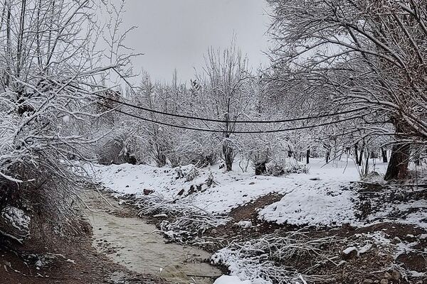 آسمان سخاوتمندانه نعمتش را در ماه شعبان به زمین شهر بار هدیه کرد