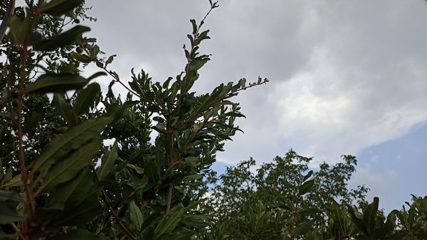اولین بارش تابستانه در روستای کینک