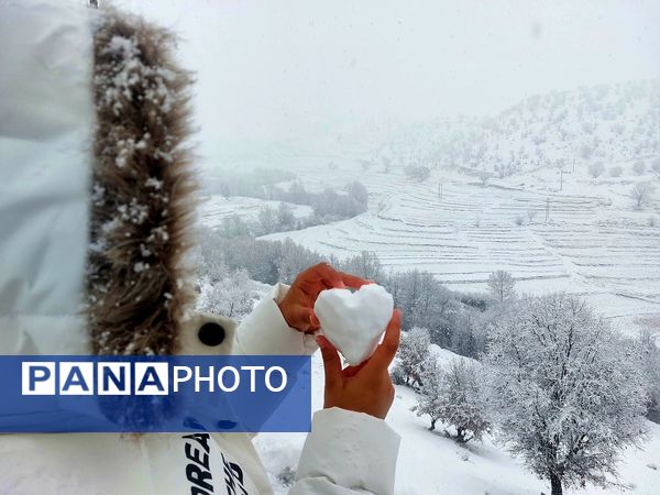 میانکوه در تسخیر برف 