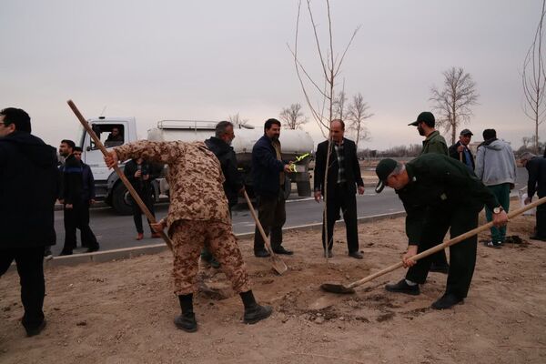 کاشت درخت به یاد شهدا در محمدشهر 