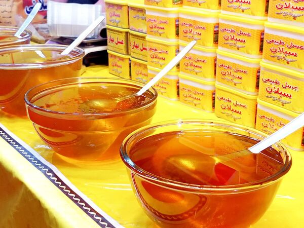 برپایی نمایشگاه بهاره در کاشمر