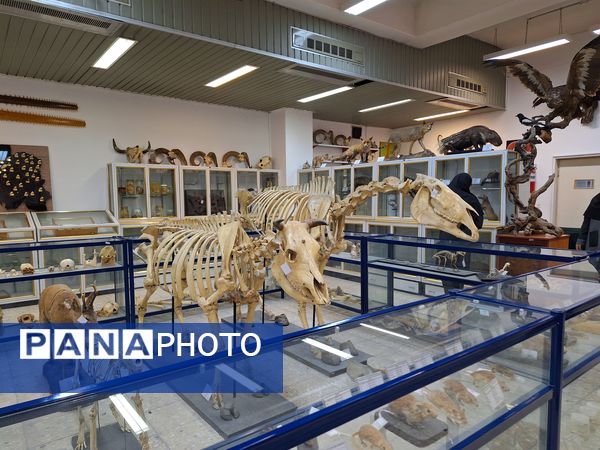 بازدید دانش‌آموزان از موزه زمین شناسی و جانور شناسی دانشگاه فردوسی مشهد