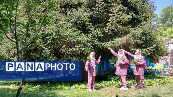 بازدید دانش‌آموزان مدرسه ایران از فضای سبز شهرداری ملارد به مناسبت روز زمین پاک