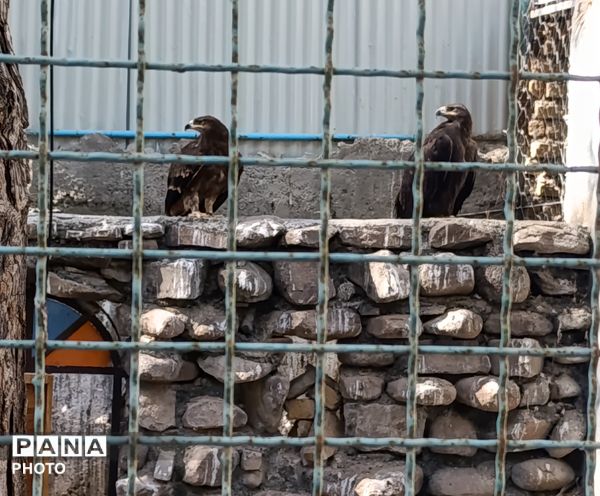 بازدید خبرنگاران پانا جلگه رخ از تربت حیدریه و آشنایی با میراث تاریخی و طبیعی 