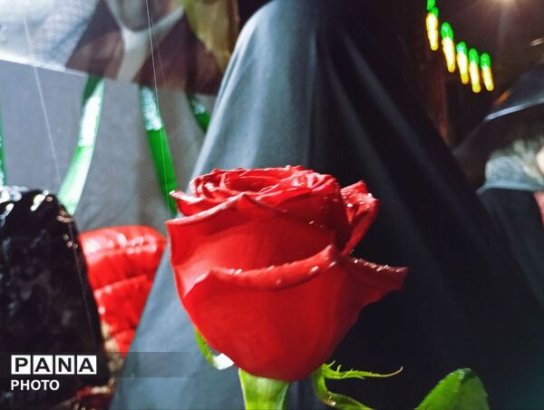 حضور پررنگ کودکان و نوجوان در تجمعات شبانه 