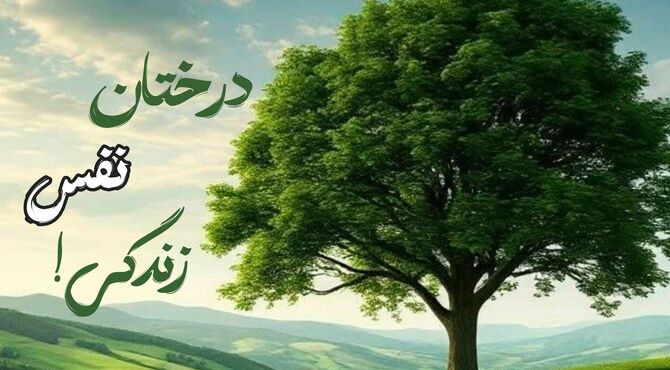 درختان نفس زندگی 
