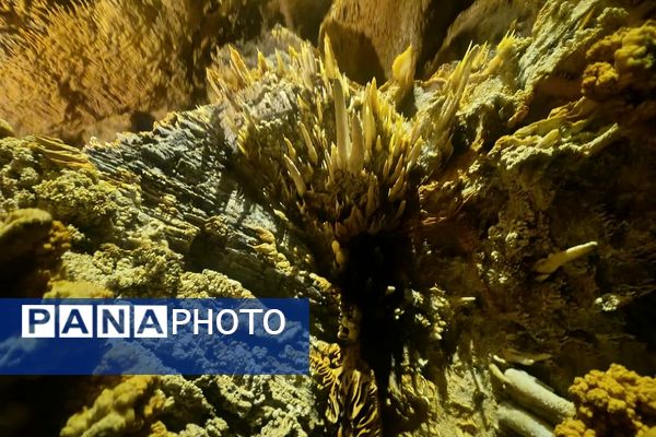 تبلور تاریخ و زیبایی در تمدن غارعلیصدر 