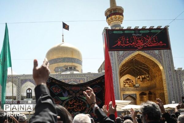 مشهدالرضا(ع) در ماتم کربلا؛ روایت اشک و ارادت در حرم مطهر رضوی