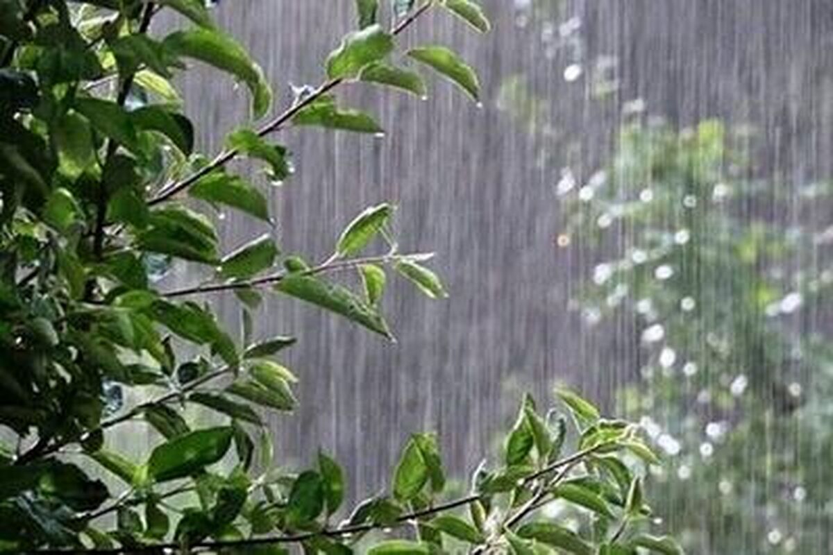 تنفس هوای مطلوب در تهران بارانی 