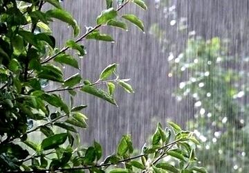 تنفس هوای مطلوب در تهران بارانی 
