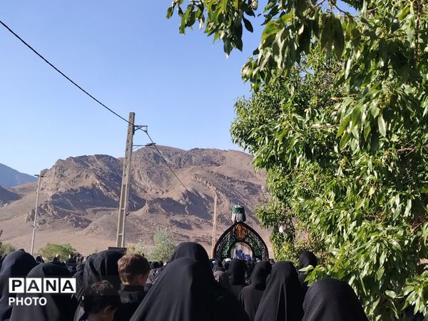 نخل‌برداری روز عاشورا در روستای صالح آباد شهرستان تفت
